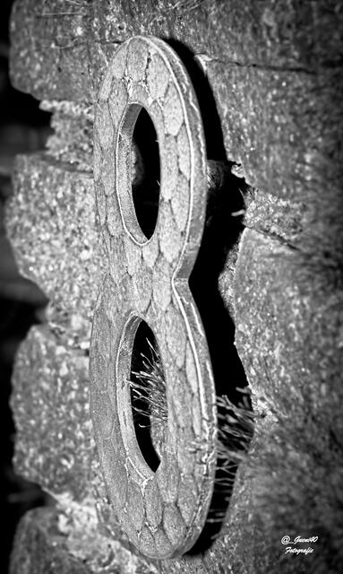 .........die seitliche Ansicht mit dem Schatten hat mir beosnders gut gefallen  .....