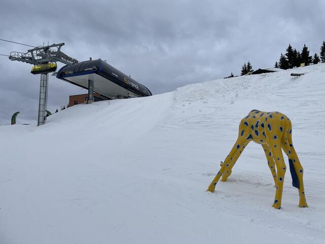 Direkt unter der Bergstation des "Sixpack"-Sesselliftes startet der "Filzoo". | Foto: Felix Hallinger