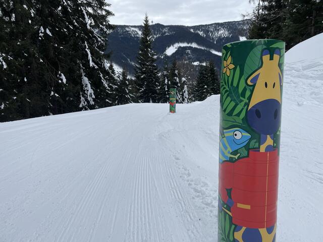 Foto: Felix Hallinger