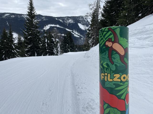 Foto: Felix Hallinger