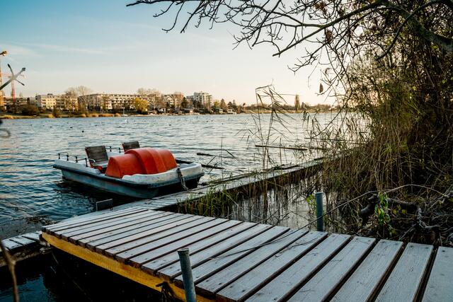 Die Obere Alte Donau. | Foto: Robert Kirti