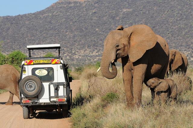 Wolfgang Kunstmann und seine Gattin sind hier gemeinsam auf Safari in Süd Afrika.