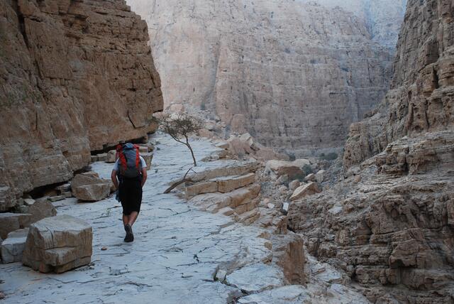 Ein junger Wiener wurde nach einer großen Suchaktion am Wochenende tot am Wadi Naqab-Wanderweg in den Vereinigten Arabischen Emiraten gefunden. (Symbolfoto) | Foto: Andrew Stelmach/Flickr/CC BY-NC-ND 2.0
