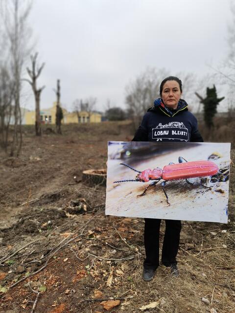Foto: System Change not Climate Change