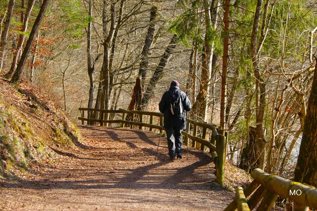 Bewegung ist gesund