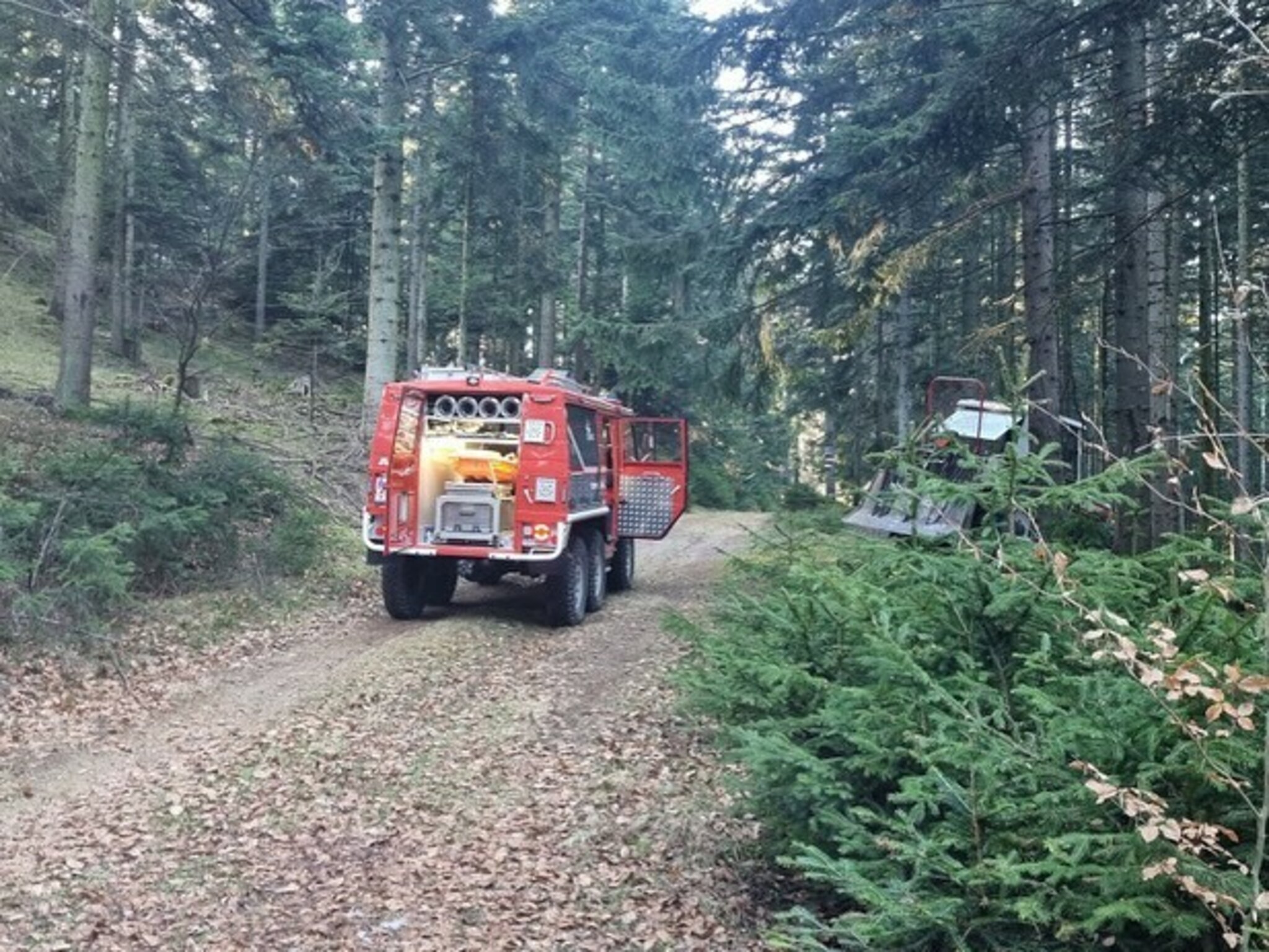 Hinteregg 66jähriger Landwirt bei Holzarbeiten schwer verletzt