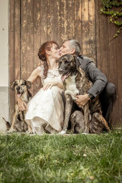 Märchenhochzeit - mit ihren beiden Hunden sind sie glücklich. | Foto: Alex Seidl