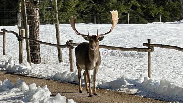 Foto: die2Nomaden.com