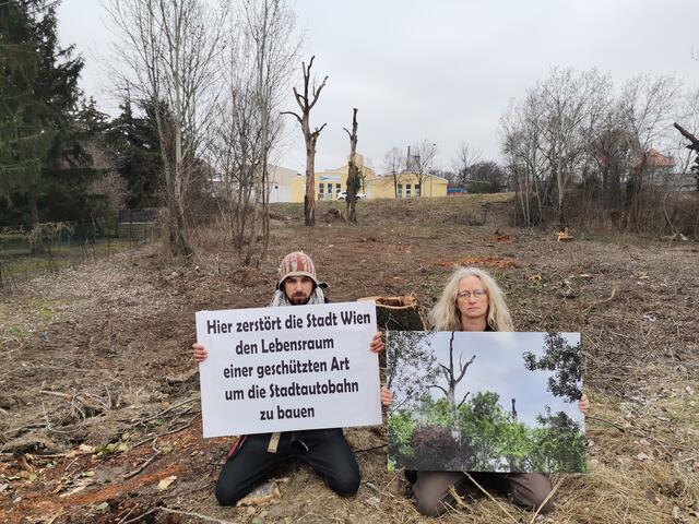 Foto: System Change not Climate Change