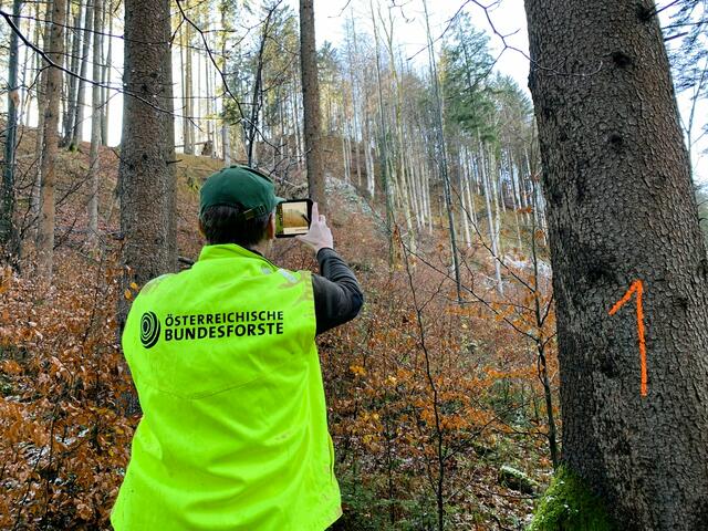 Gleich mehrere Begehungen am Hechtsee Gelände. | Foto: Stadt