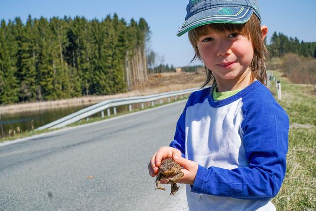Jeder kann Amphibien retten. | Foto: Axel Schmidt