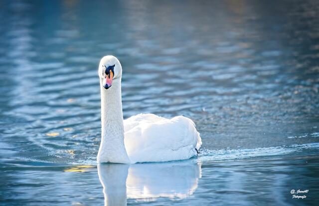 .....He Güni,hast du deine Kamera dabei ......