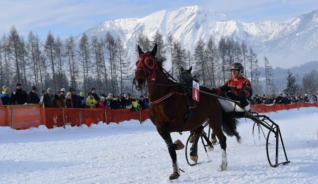 Kein Schnee, keine Rennen in Wörgl. Trabrennverein Unterinntal sagt Rennen am Schadlfeld Wörgl ab. | Foto: Schwaighofer