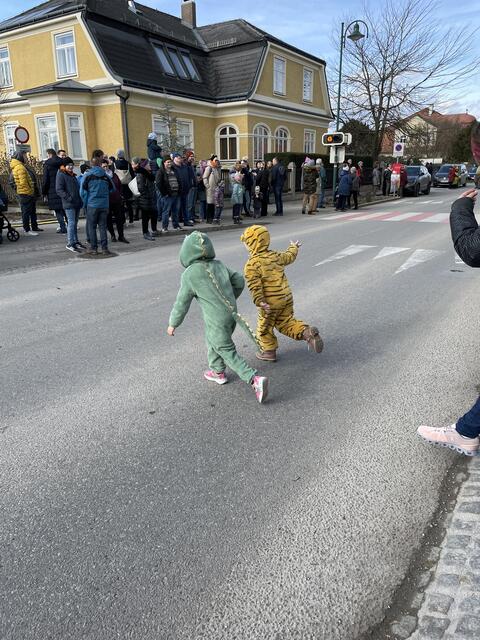 Dirndltaler Faschingsumzug 2023 in Ober-Grafendorf | Foto: Tanja Handlfinger