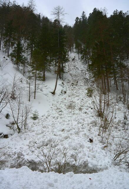 Beispielfoto Lawinenabgang. | Foto: WLV