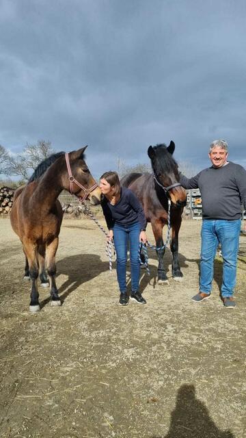 Karin und Andreas Welkovits mit Shini und Chester. | Foto: Foto: Ingrid Ruf