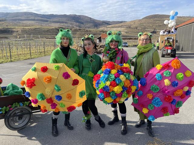 Eine tolle Verkleidung | Foto: Necker