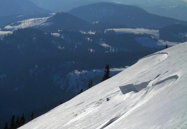 Beispielfoto Abbruchbereich einer Lawine auf der Gemeindealpe Mitterbach.  | Foto: WLV