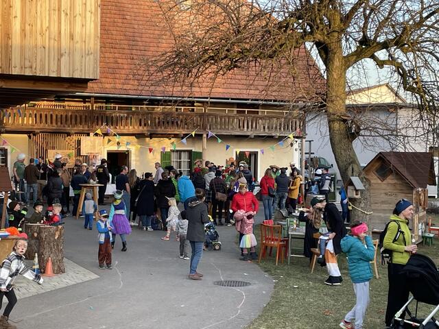 Am Bauernhof der Familie Strobl am Landscha gab es einen Kinderfasching am Bauernhof. | Foto: RegionalMedien Steiermark/Hofmüller