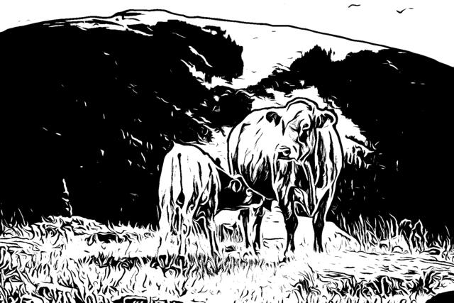 Die Ähnlichkeiten sind unleugbar und manchmal sag ich auch "mein Kalberl" zu unserem Fräulein Tochter. | Foto: pixabay/comica