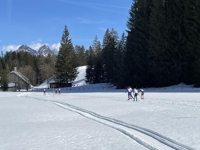 Foto: Sabine Lienbacher