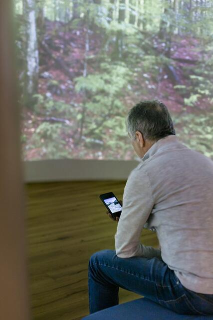 Mit der neuen App "Hearonymus" das Haus der Wildnis in Lunz am See entdecken. | Foto: Katharina Pfligl