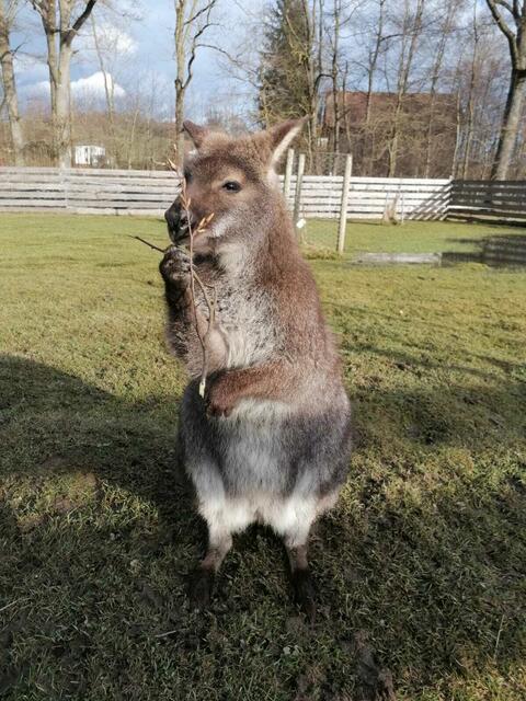 Foto: Julia Mitterbauer