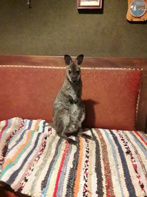 Foto: Julia Mitterbauer