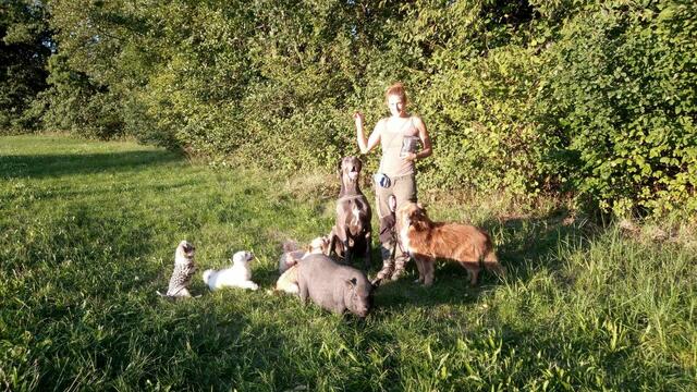 Bei ihren Gassigängen kommen neben den Hunden, auch ihr Hängebauchschwein Susi mit. | Foto: Julia Mitterbauer