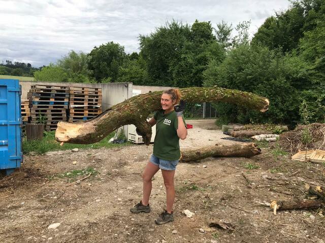 Foto: Julia Mitterbauer