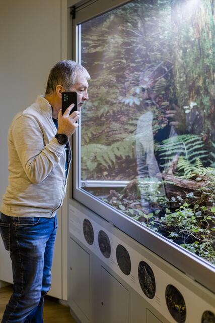 Mit der neuen App "Hearonymus" das Haus der Wildnis in Lunz am See entdecken. | Foto: Katharina Pfligl