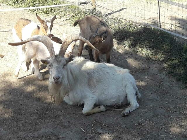 Foto: Julia Mitterbauer