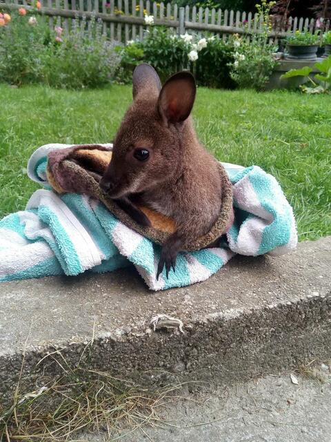 Foto: Julia Mitterbauer