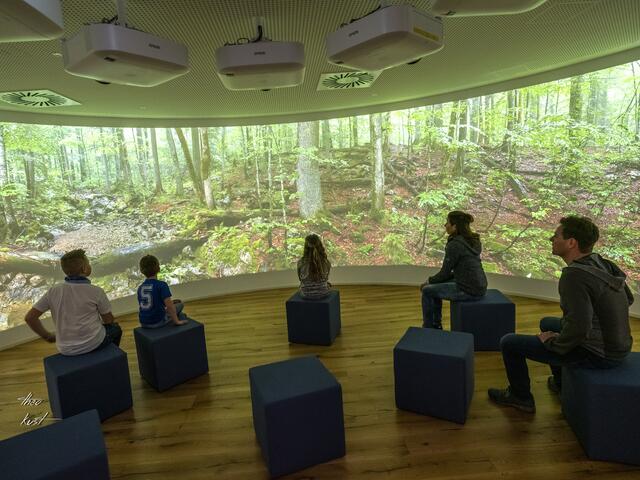 6D-Urwalderlebnis im Haus der Wildnis in Lunz am See | Foto: Theo Kust