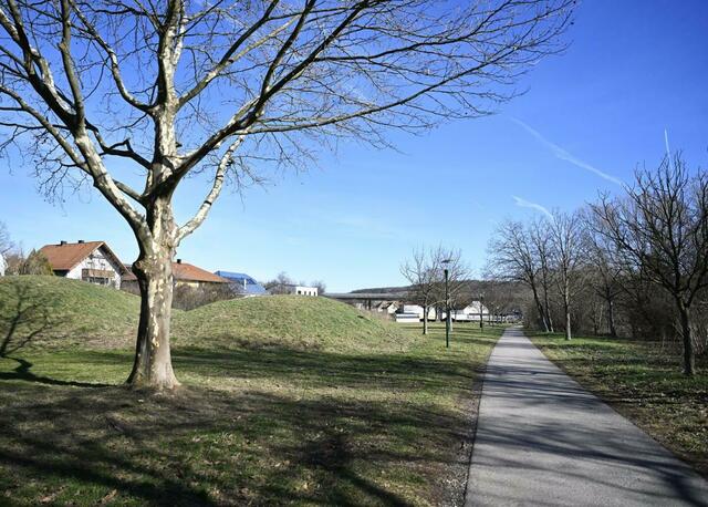Auf diesem Gebiet in Walbersdorf verloren die Betreuerinnen den Buben aus den Augen | Foto: APA/Robert Jaeger