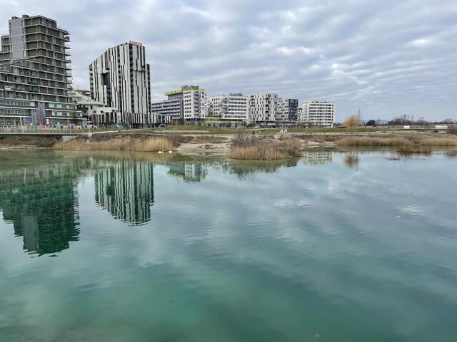 Die Skyline am See. | Foto: David Hofer