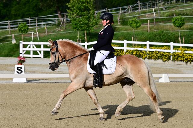 Eleganz und Perfektion im Viereck: Christina auf Adoro 2022 beim Dressurturnier in St. Margarethen in Wolfsberg | Foto: Privat