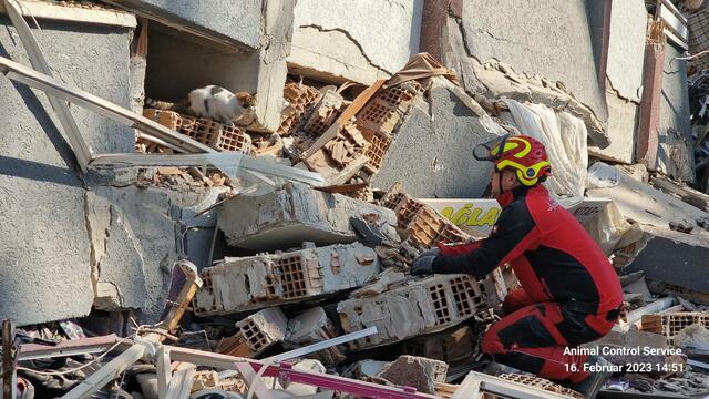 Foto: Tierhilfe Gusental/Animal control