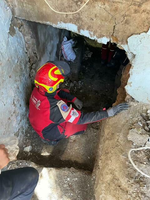 Foto: Tierhilfe Gusental/Animal control