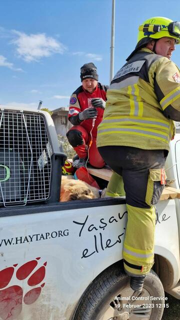 Foto: Tierhilfe Gusental/Animal control