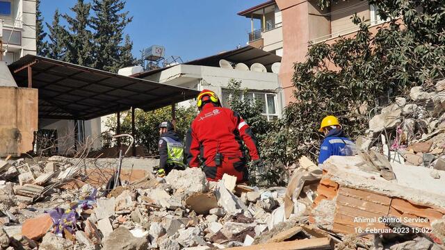 Foto: Tierhilfe Gusental/Animal control