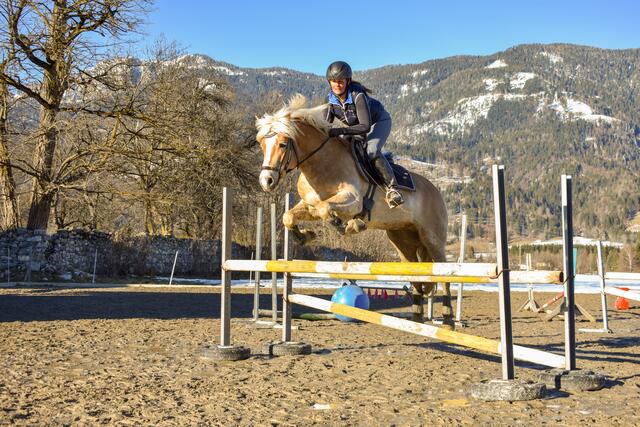 Gut vorbereitet für Turniere: Training zu Hause | Foto: Privat