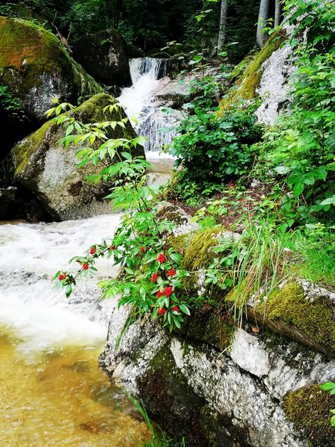 Herzklopfen-Runde – Wolfsschlucht | Foto: Maria Aichinger