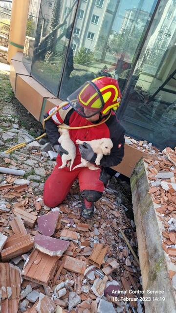 Zahlreiche Glücksmomente. | Foto: Tierhilfe Gusental/Animal control