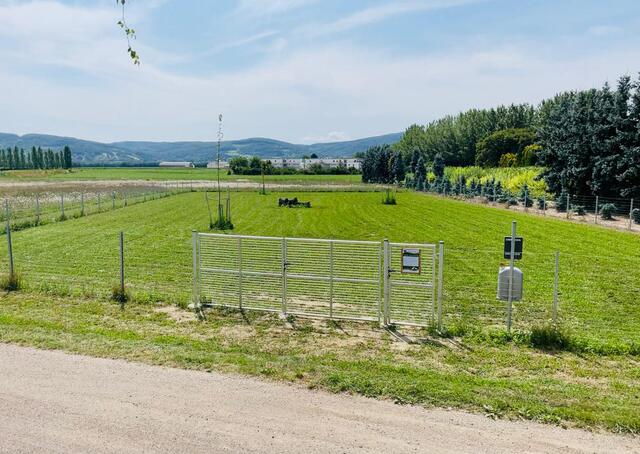In Muckendorf-Wipfing wartet diese Traumoase auf die Vierbeinigen-Fellnasen. | Foto: Marktgemeinde Muckendorf-Wipfing