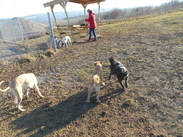 Foto: Familie Vielgrader