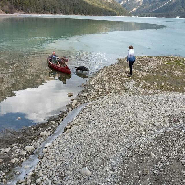 Der Vierbeiner wurde ans sichere Ufer gebracht. | Foto: Stefan Sprenger