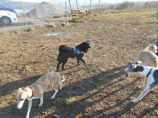 Foto: Familie Vielgrader