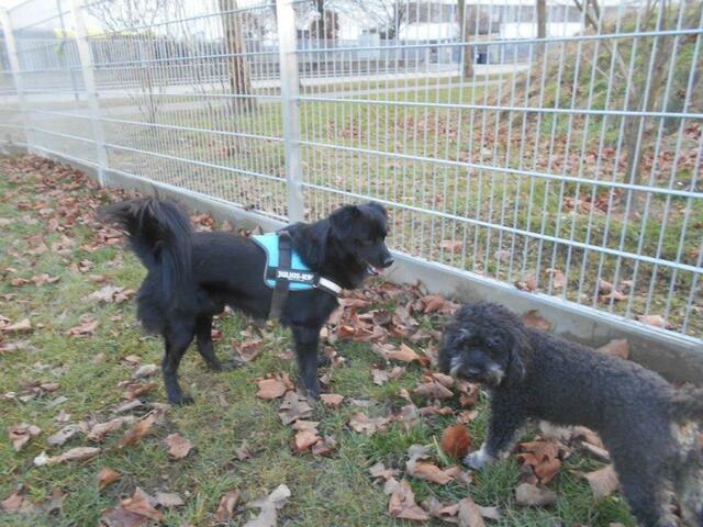 Foto: Familie Vielgrader