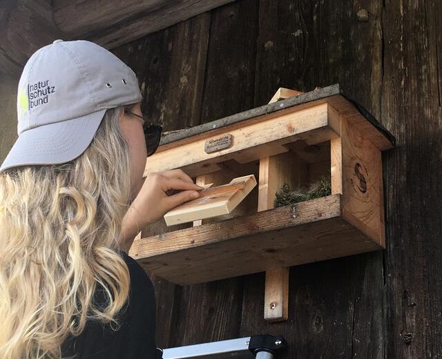 Nistkastenreinigung © Heidi Kurz